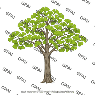 Ginkgo biloba tree
