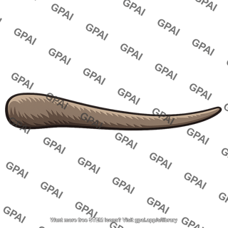Kangaroo tail