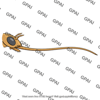 Proboscis uncoiled