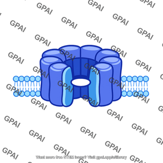 Protein pore complex