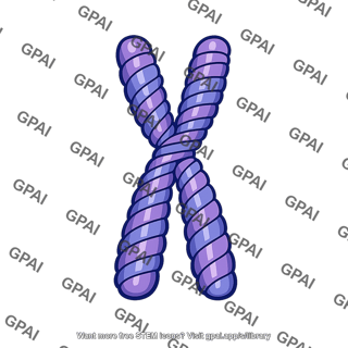 Chromosome condensed prophase