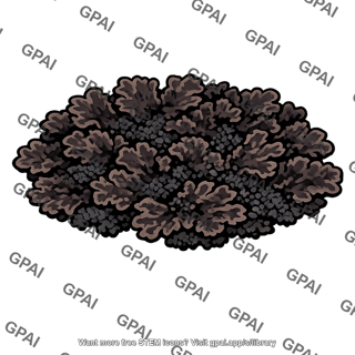 Brown lichen patch