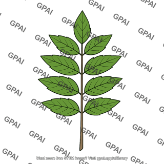 Compound leaf