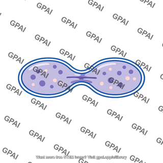 Nucleus dividing