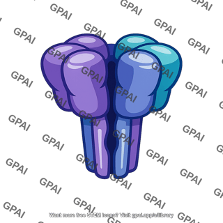 Nmda receptor