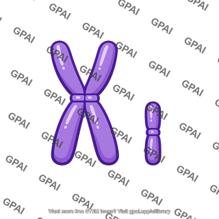 Sex chromosomes
