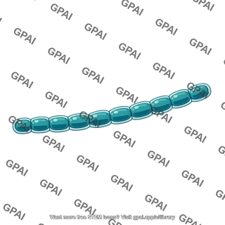 Filamentous cyanobacterium