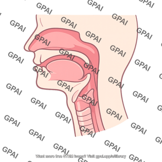 Throat side view