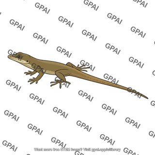 Anolis christophei