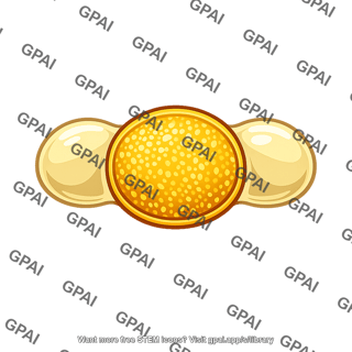 Conifer pollen grain