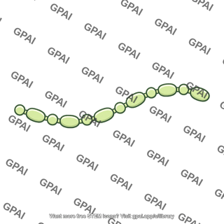 Polymer chain
