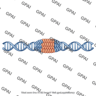 Chromosome centromeric dna