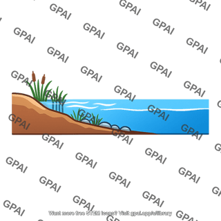 Littoral zone