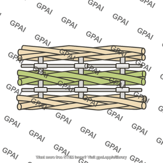 Plant cell wall cross linked