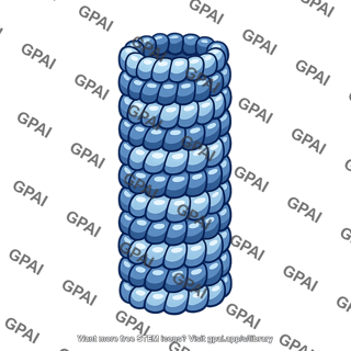 Helical capsid