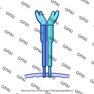 Antigen receptor t cell