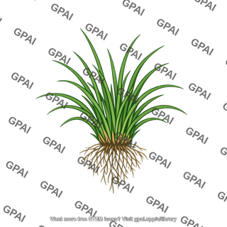 Grass clump with roots