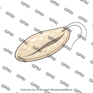 Excavate protist