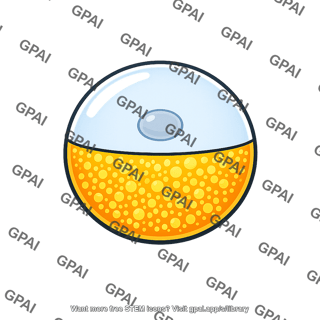 Egg vegetal pole