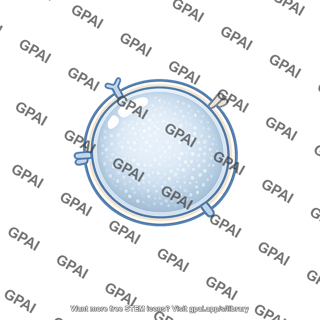 Exosome
