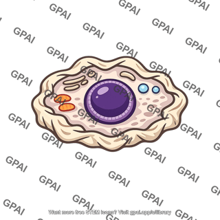 Animal cell shrunken