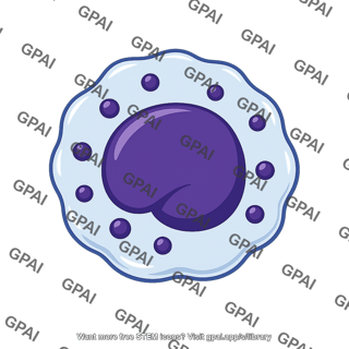 Natural killer cell irregular