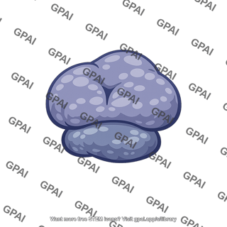 Prokaryotic ribosome