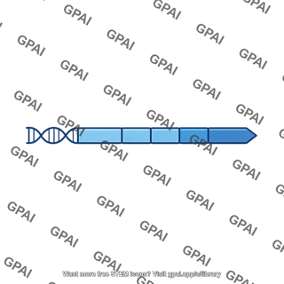 Prokaryotic gene
