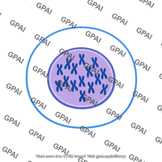 Cell with duplicated chromosomes