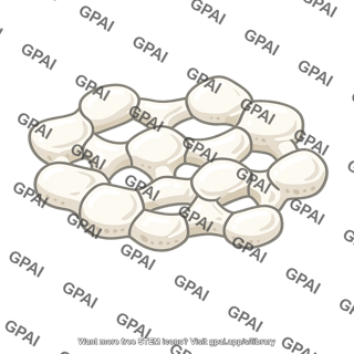 Sea star ossicle