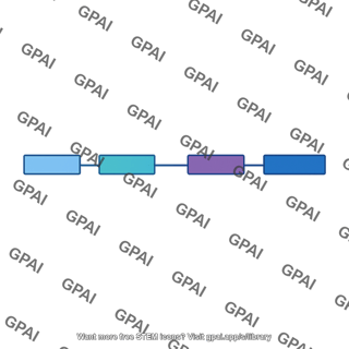 Split gene
