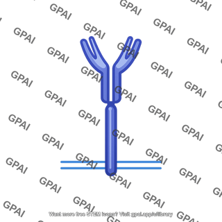 T cell receptor