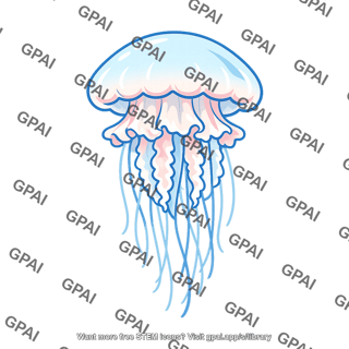 Scyphozoan jellyfish