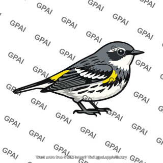 Myrtle warbler