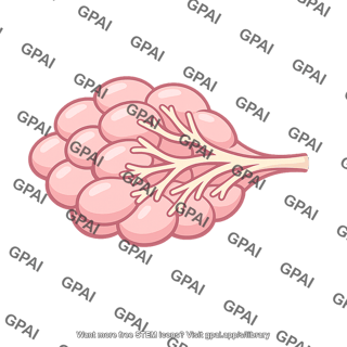 Milk gland
