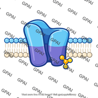 Membrane protein phosphorylated