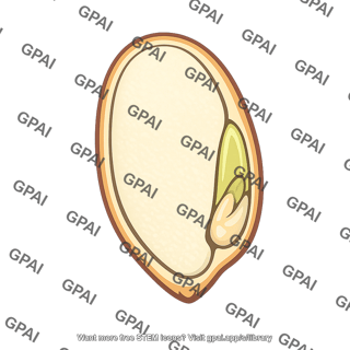 Monocot seed