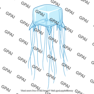 Sea wasp
