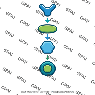 Cell signaling transduction