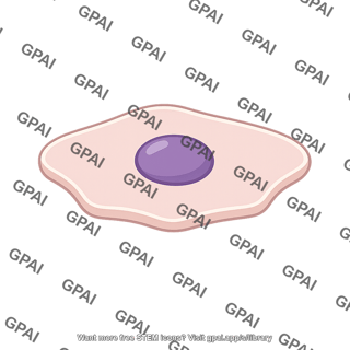 Skin cell