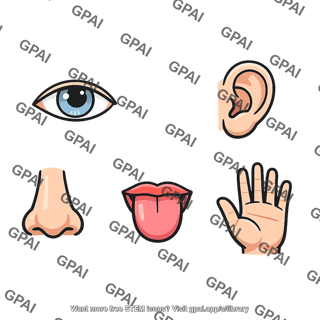 Five senses icons