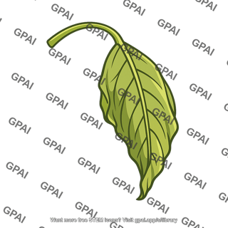 Leaf wilted