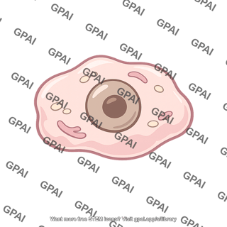 Body tissue cell