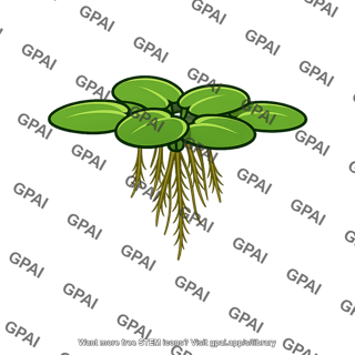 Aquatic plant floating