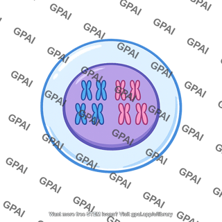 Cell diploid