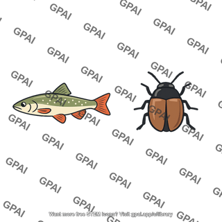 Fish and beetle