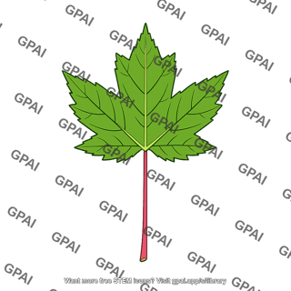 Maple leaf