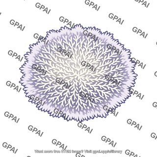 Actinomycete colony