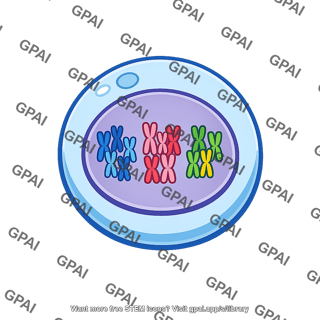 Cell triploid