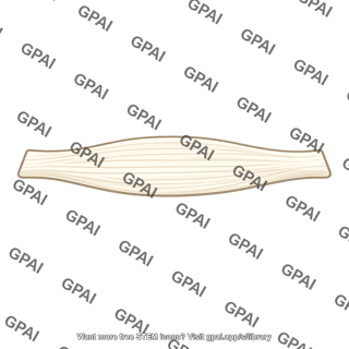 Ligament